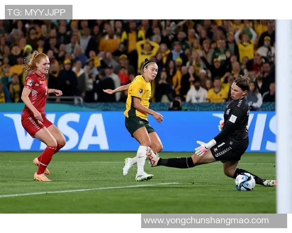 法国女足对阵冰岛女足精彩直播全程回顾与分析